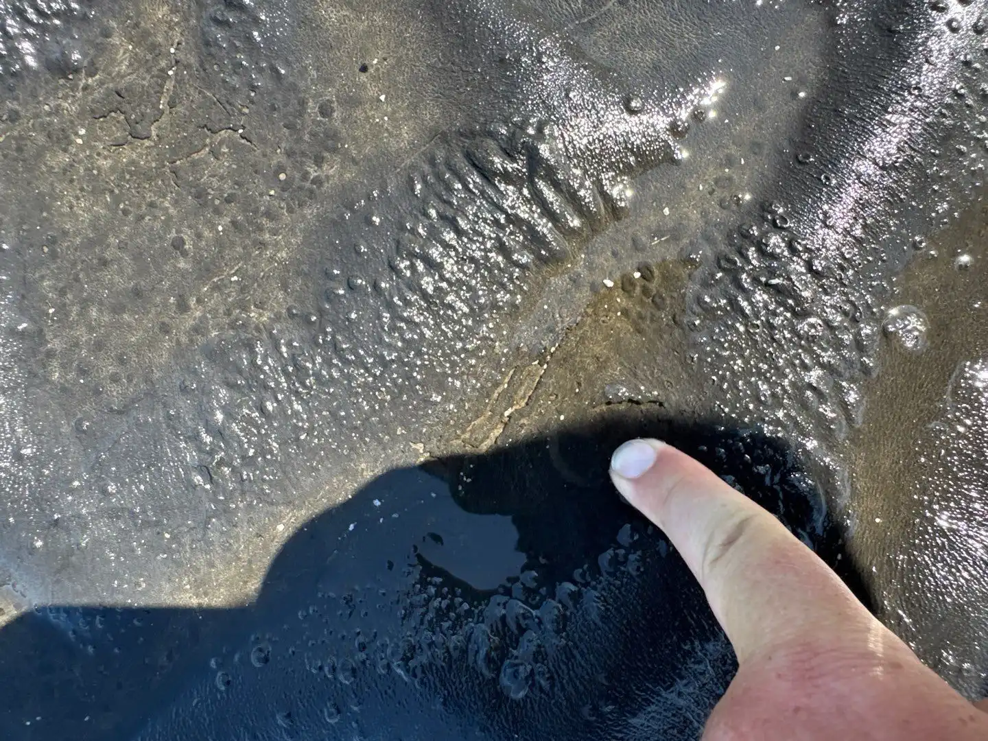Flat Roof Repair Franklin: Leak Detection and Fix